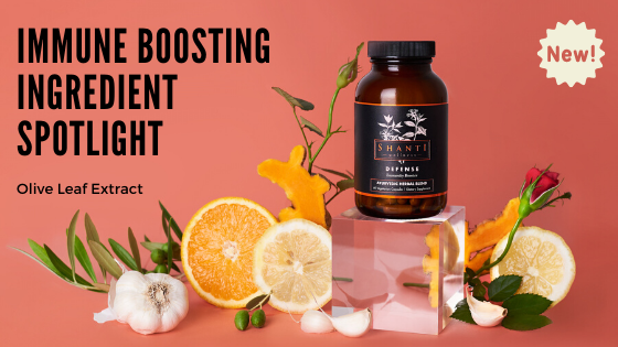 Immune Boosting Ingredient Highlight: Olive Leaf Extract (Oleuropein)