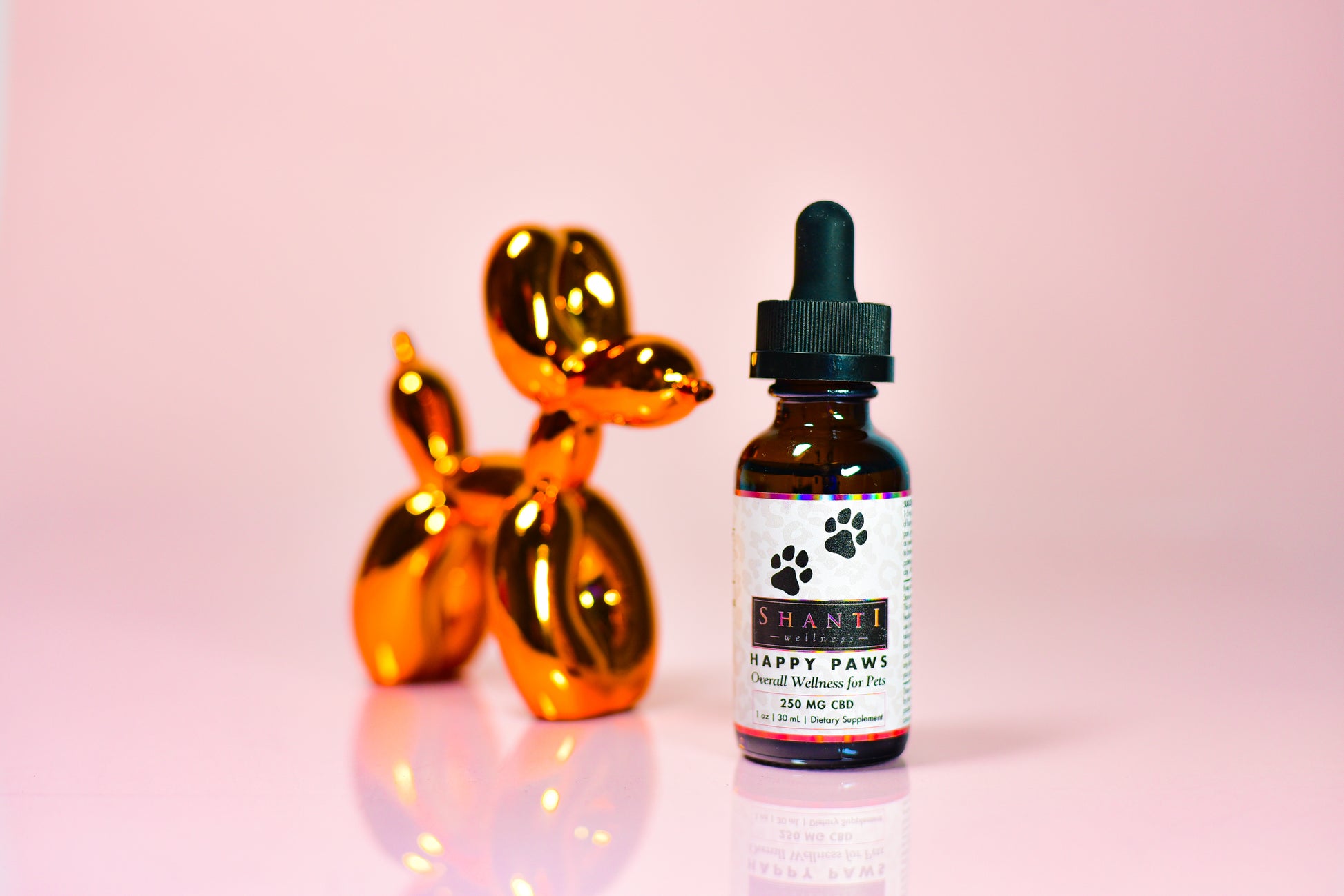  CBD for Dogs